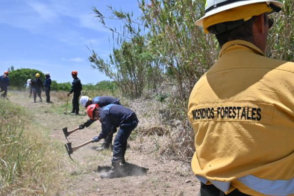 La Ciudad Ya Cuenta Con Su Primera Brigada De Incendios Forestales Para